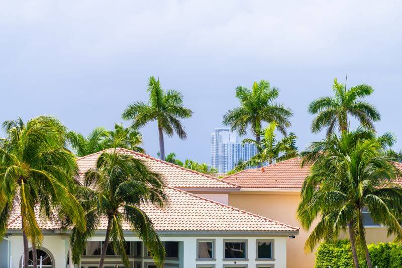 Florida-home-with-palm-trees-image