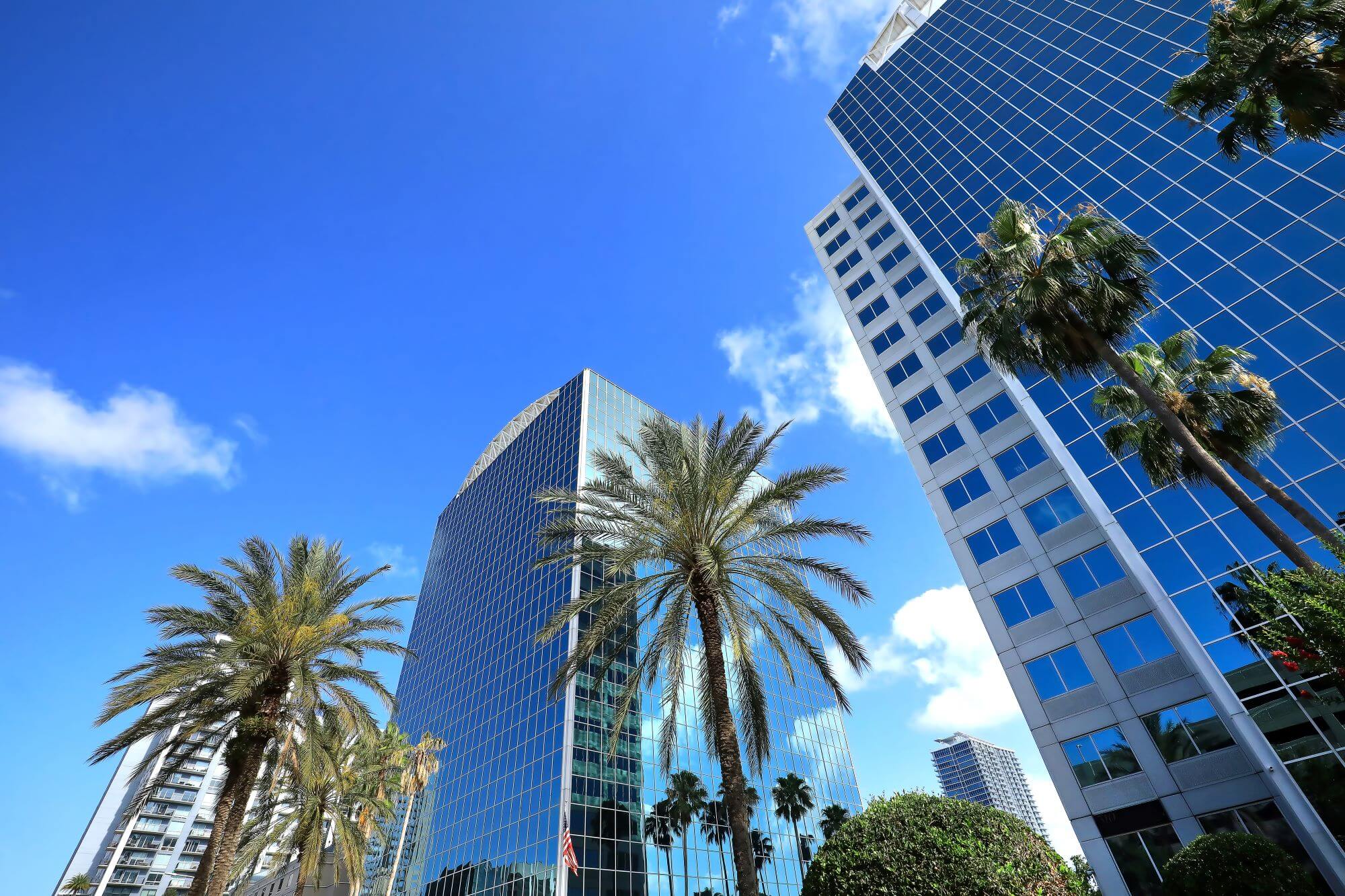 Large-buildings-in-Florida