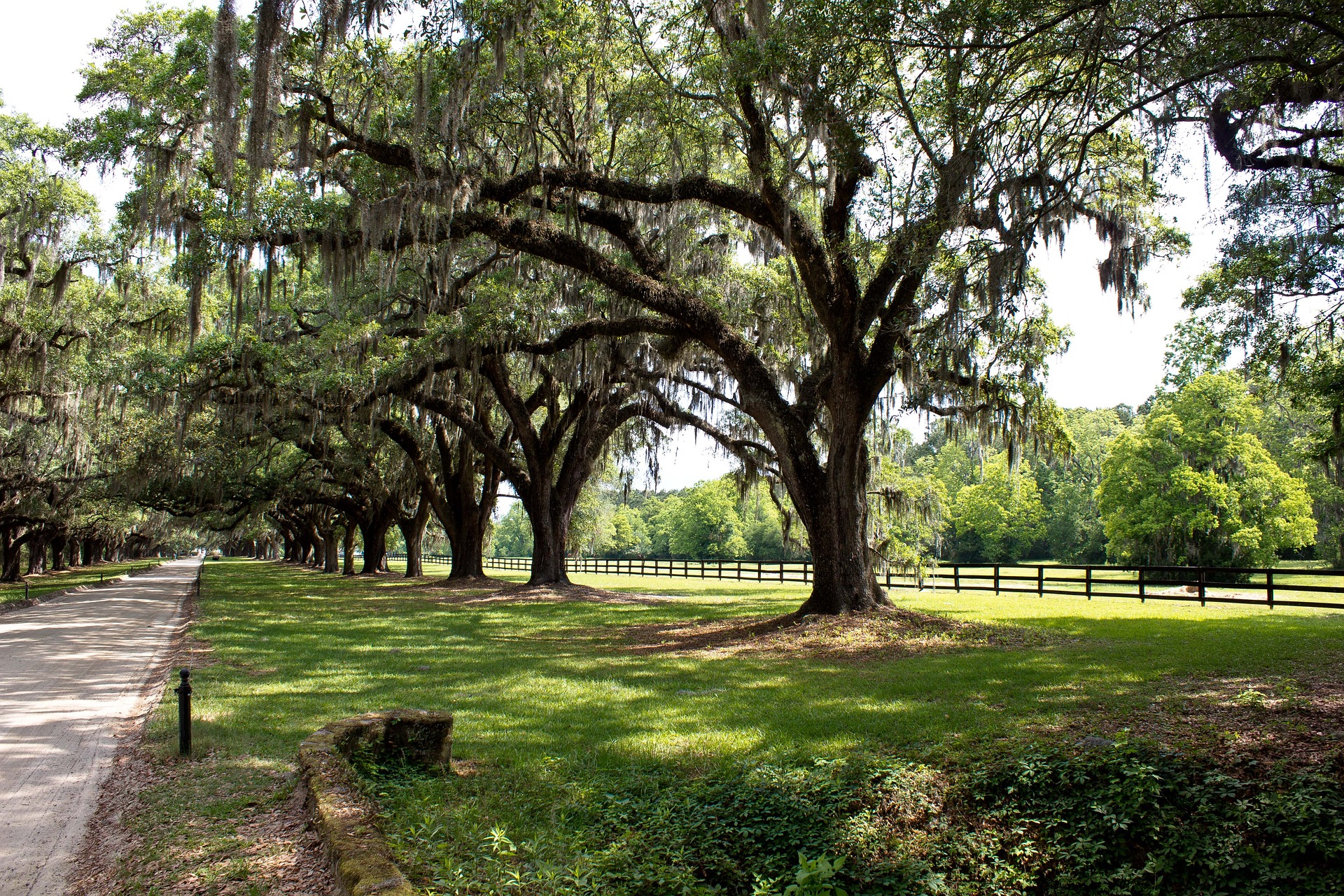 plantation-1401967_1920