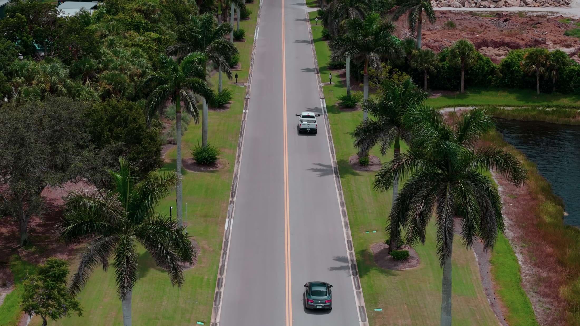 drone-flying-above-road-lined-with-tall-palm-trees-SBI-351461218