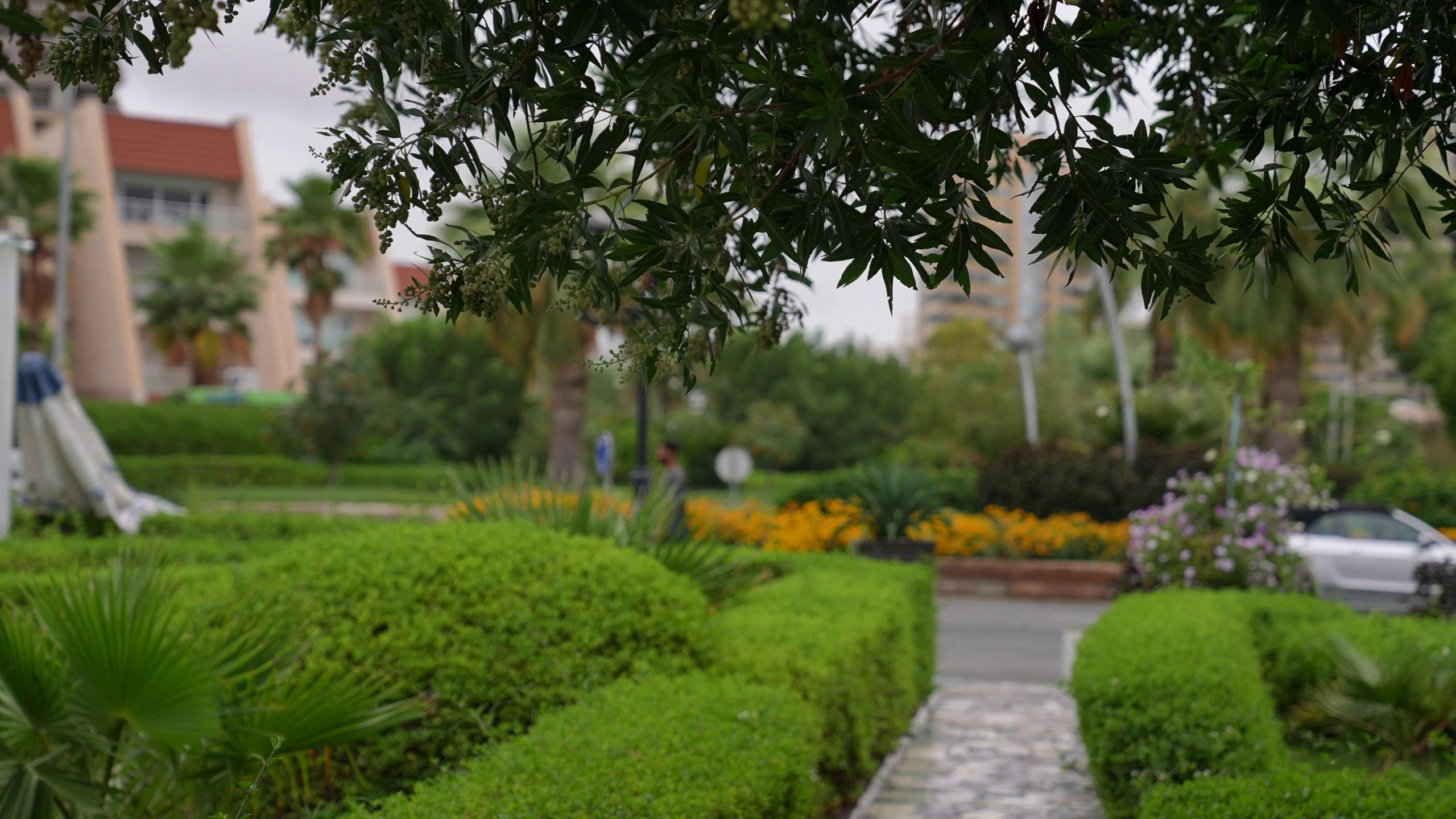 view-of-the-coastal-park-near-the-beach-in-spring-SBI-350162076-scaled