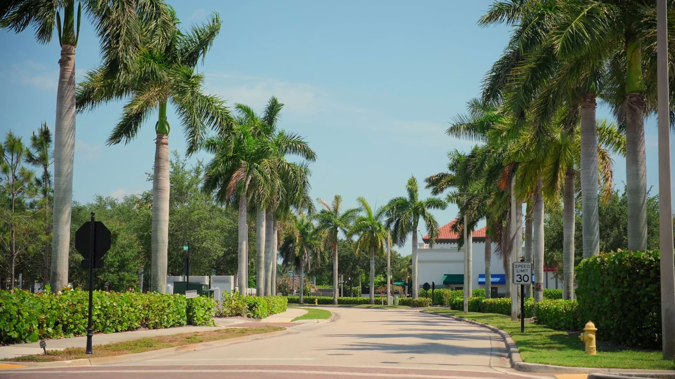 wide-view-of-street-in-florida-on-sunny-day-SBI-350164171